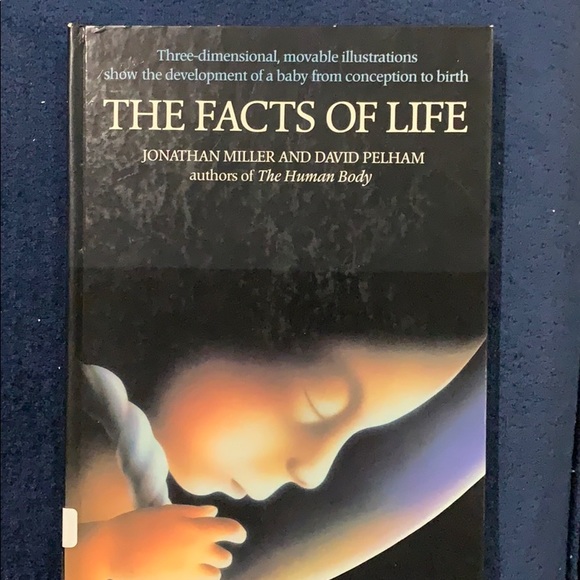 Educational three-dimensional book - Picture 2 of 5